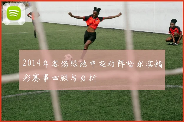2014年客场绿地申花对阵哈尔滨精彩赛事回顾与分析