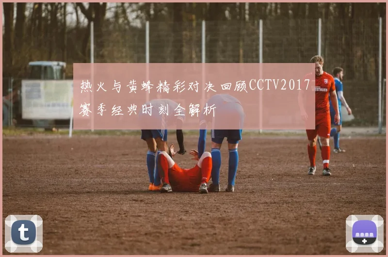 热火与黄蜂精彩对决回顾CCTV2017赛季经典时刻全解析