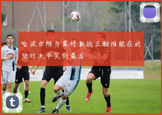 哈波尔维与蒙特激战正酣谁能在这场对决中笑到最后