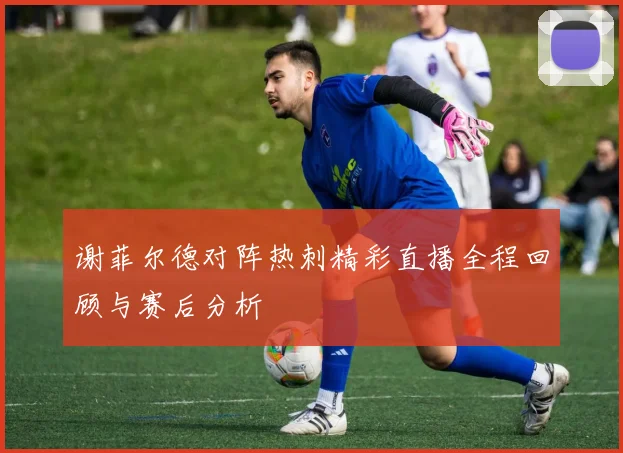 谢菲尔德对阵热刺精彩直播全程回顾与赛后分析
