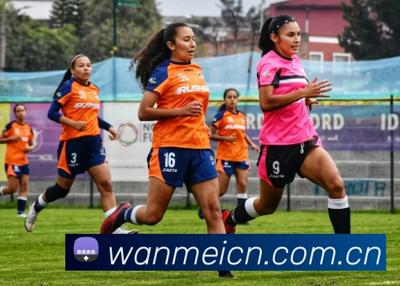 完美体育APP 封面图